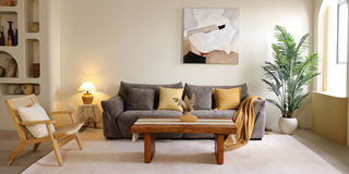 东莞柠檬树摄影基地 东莞柠檬树摄影基地